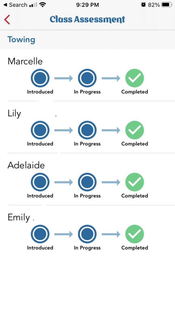 Example of skills assessment