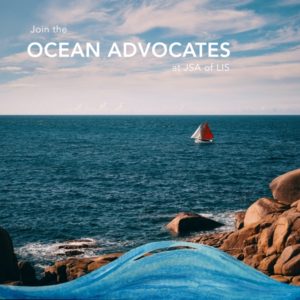 Ocean-Advocates-Image