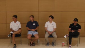 Panel Speakers